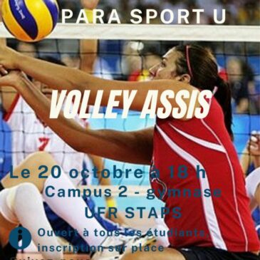 Volley Assis :