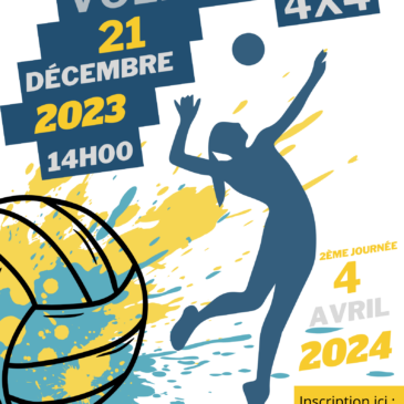 VOLEY-BALL 4×4 : Championnat régional Site Rouen